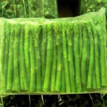 New Crop Super Quality IQF Frozen Asparagus /White Asparagus