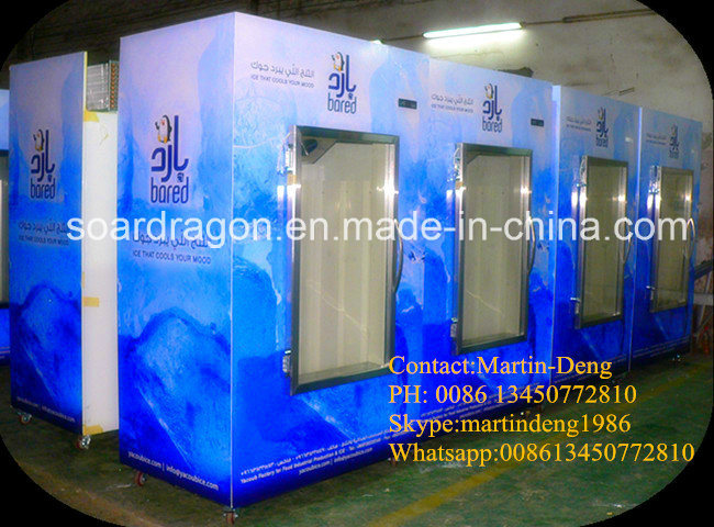 Outdoor Use Cold Wall System Bagged Ice Merchandiser with Slant Door