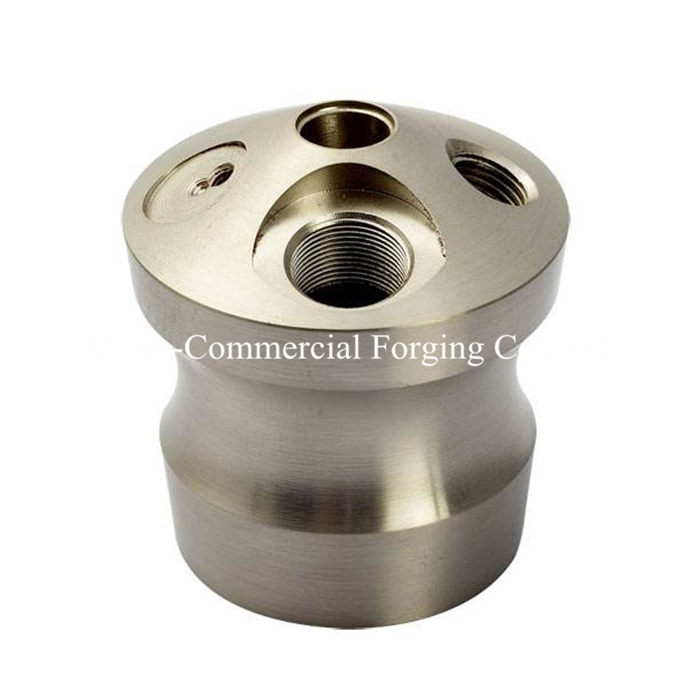 OEM Steel/Aluminum/Brass/Iron Forging Parts with Machining