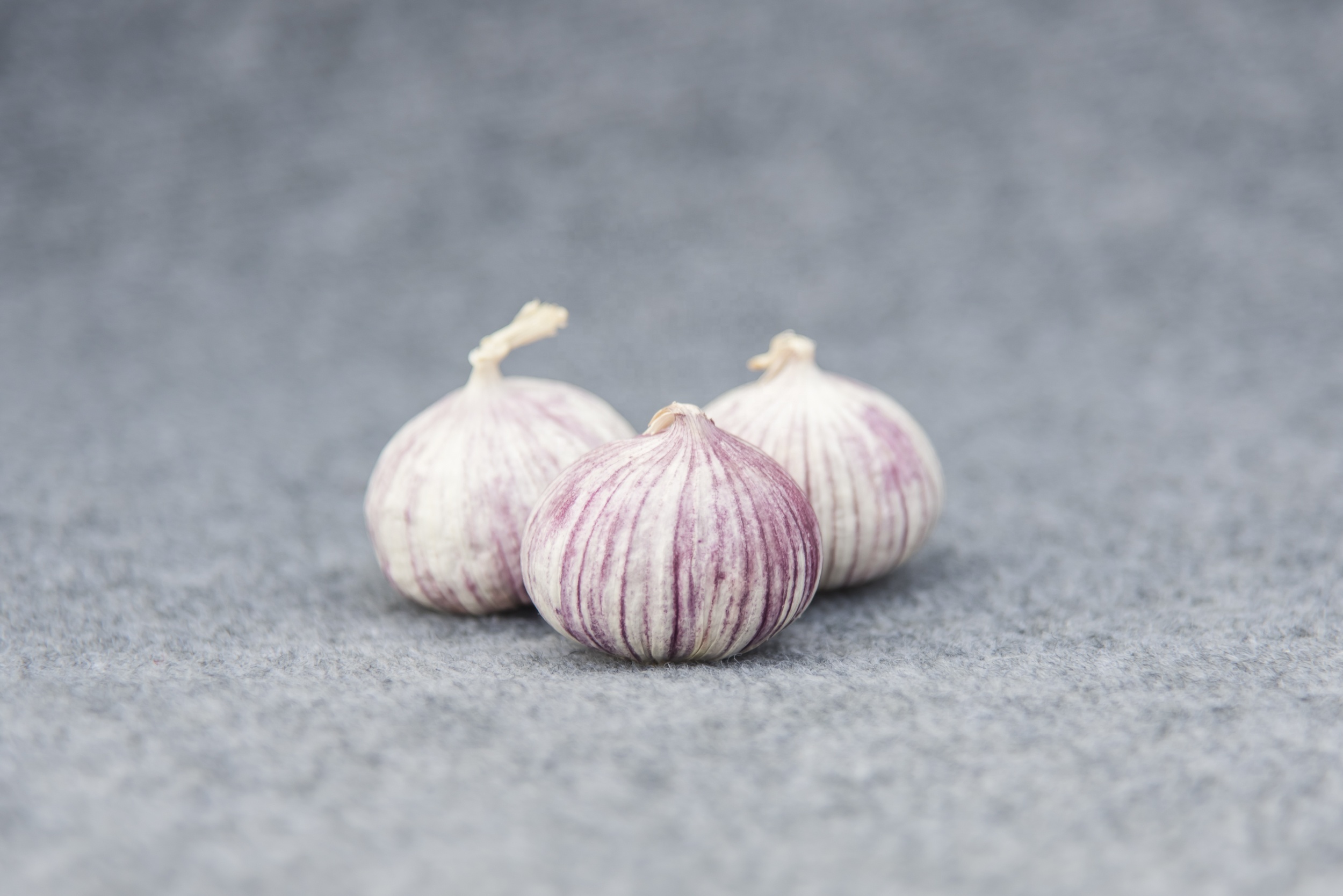 High quality fresh single clove garlic High quality fresh single clove garlic