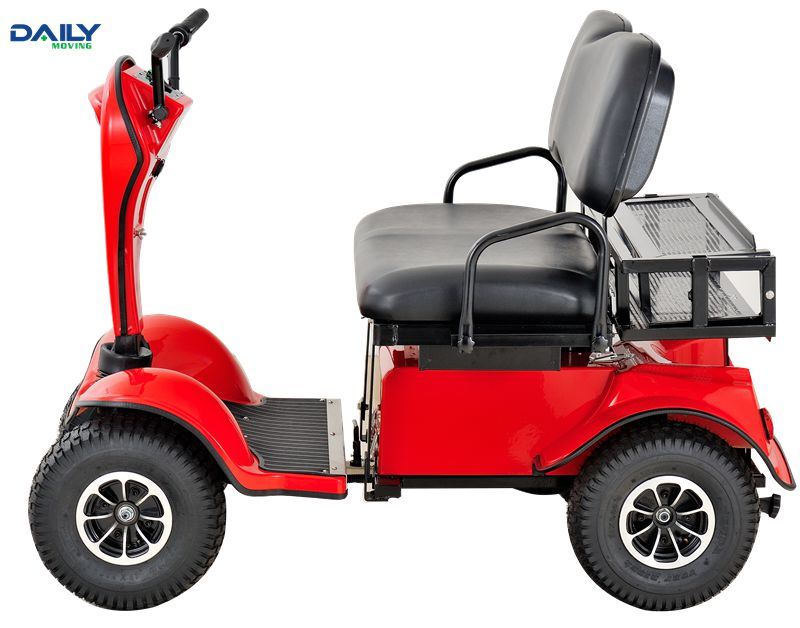 Ce Double Seat Mini Electric Golf Cart with 24V 1500W Motor Dm800