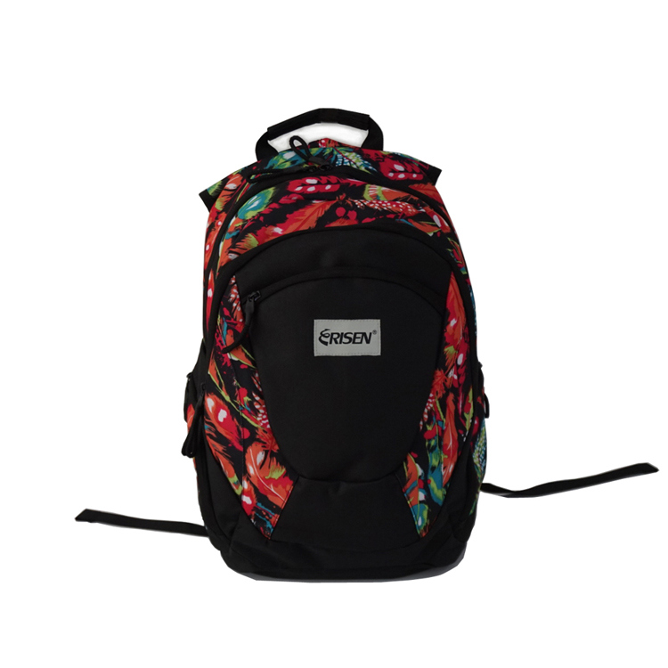 Fashion Colourful Backpack Bag for School, Laptop, Hiking, Travel