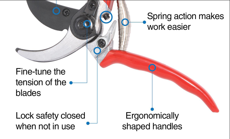 Trimming Scissors Garden, Tree Shears