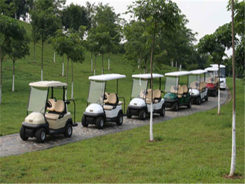 2 Seater Mini Golf Cart with Water Proof and Windshield on Sale for Golf Course