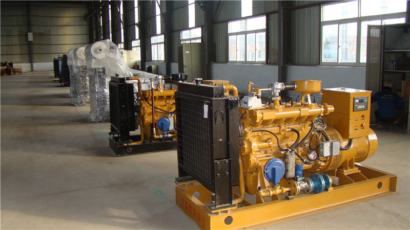 Natural Gas Generator with High Quality and Best Price (16kw- 1000kw)