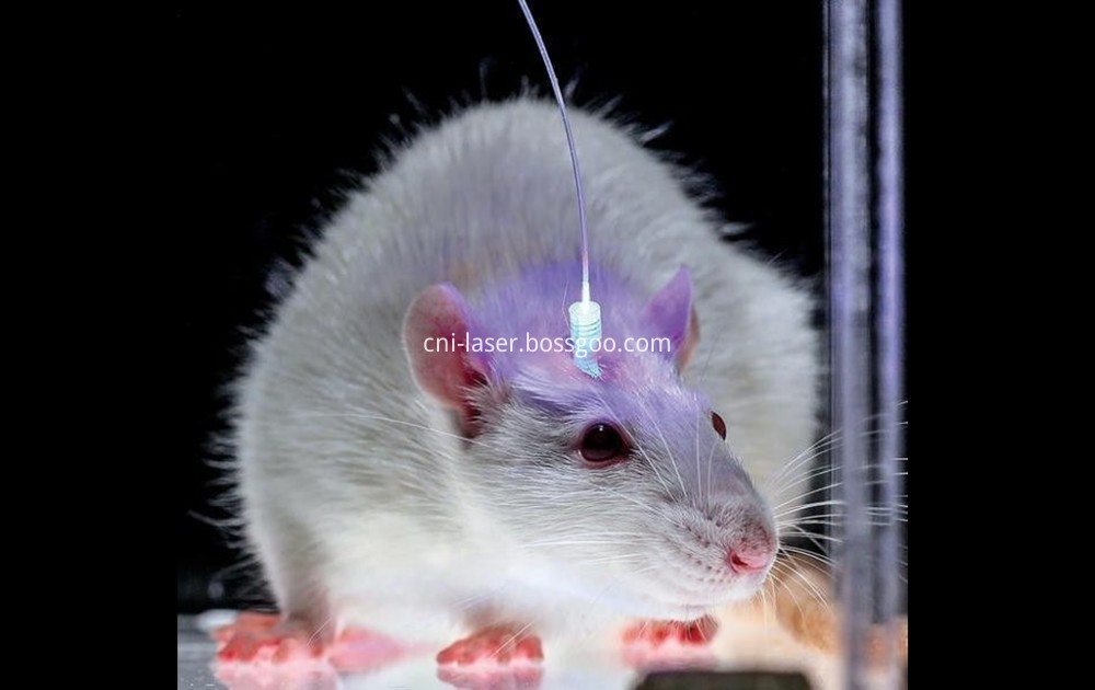 laser for optogenetics laser for optogenetics