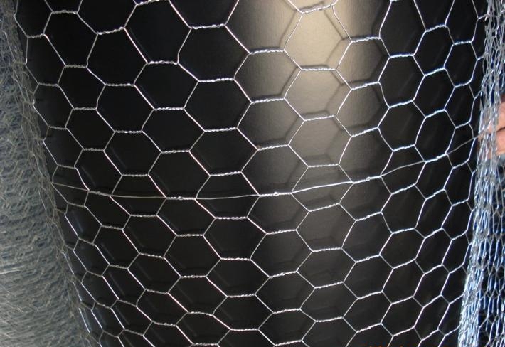 Galvanized and PVC Coated Hexagonal Wire Mesh with Factory Price