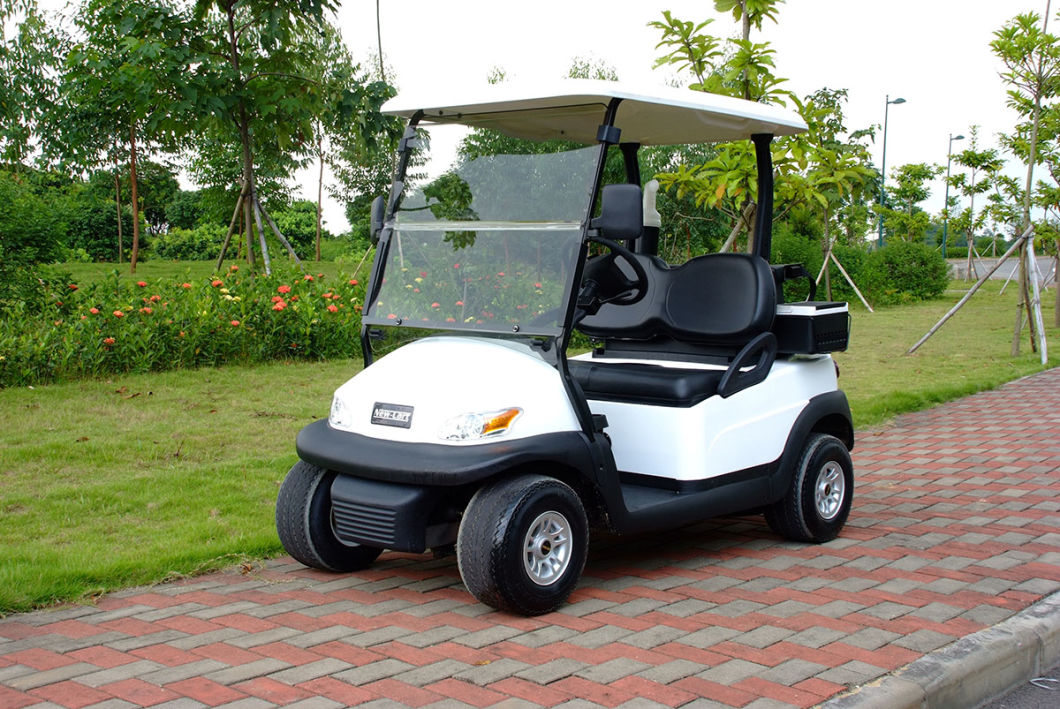 Ce Approved Battery Operated 2 Seater Mini Golf Cart