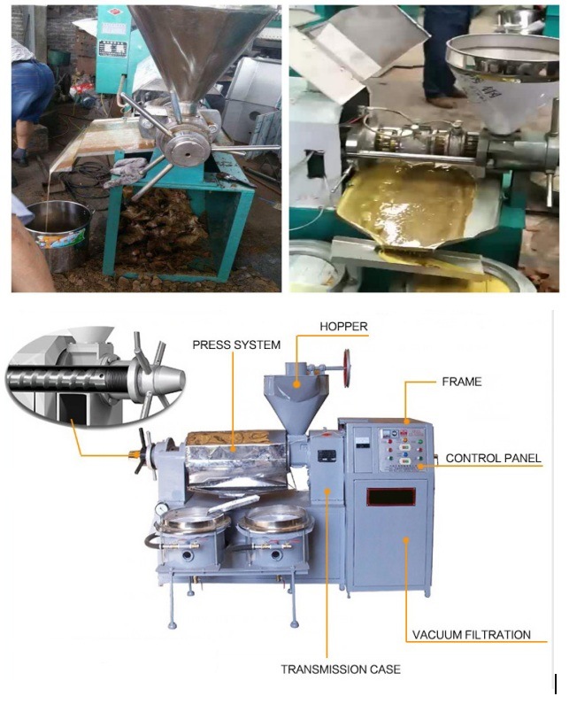 Agricultural Machinery Avocado Oil Machine and Pumpkin Seed Oil Press Machine