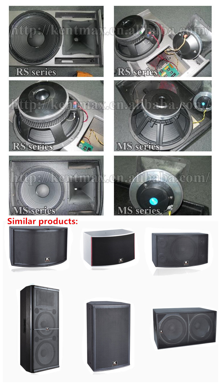 Top Sell 350W 8 Ohm Professional Stereo Audio Speaker