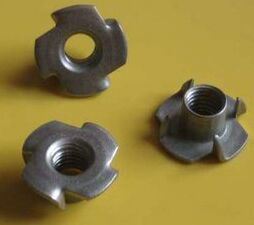 Hot Sale in China Tee Nuts with Good Quality, New