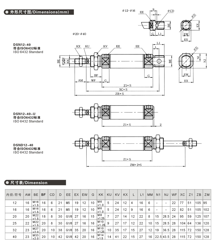 Dsn ISO 6432 Mini Pneumatic Cylinders Bore 16