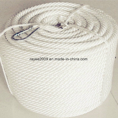 Securing High Tentile Elastic Rope Braided Rope Plastic Rope