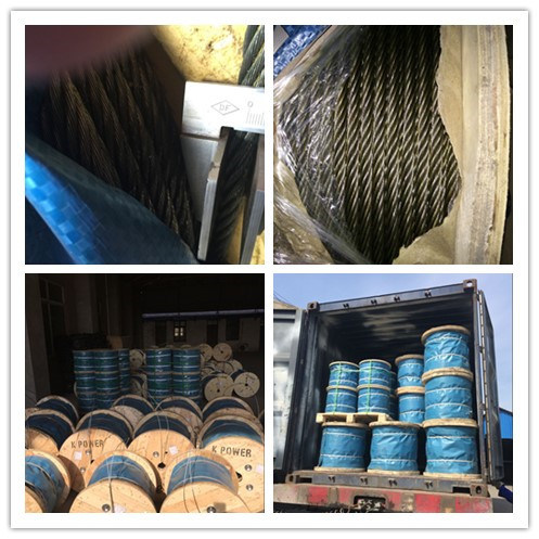 Colour PVC Coated Galvanized Steel Wire Rope 6X19+FC for Hanging