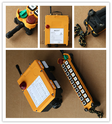 China Manufacture F21-20s Radio Remote Control for Cranes