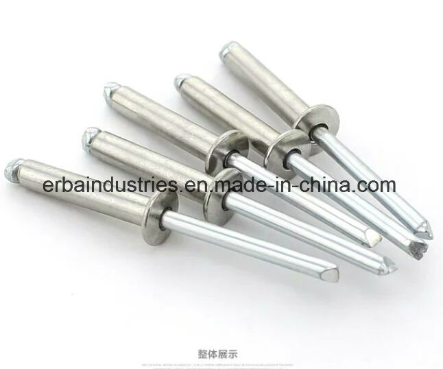 Dome Head Ss Rivet Stainless Steel Rivets