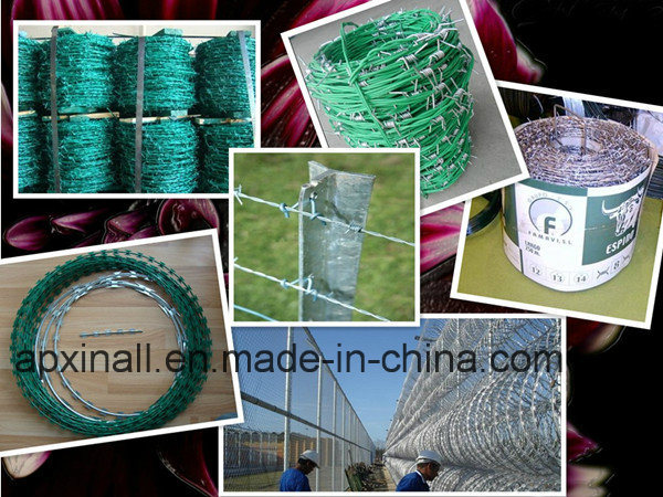 Grassland Barbed Wire 200-500m/Roll Wire Diameter 2.5mm