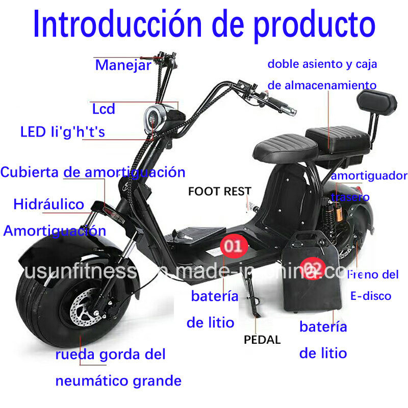 Two Seat Electric Scooter 2 Wheel Fat Tyre Citycoco with Double Removable Battery