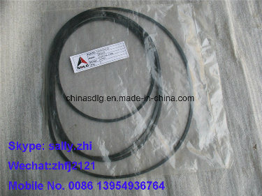 Sdlg Sealing Ring 3030900113 for Sdlg Wheel Loader LG956