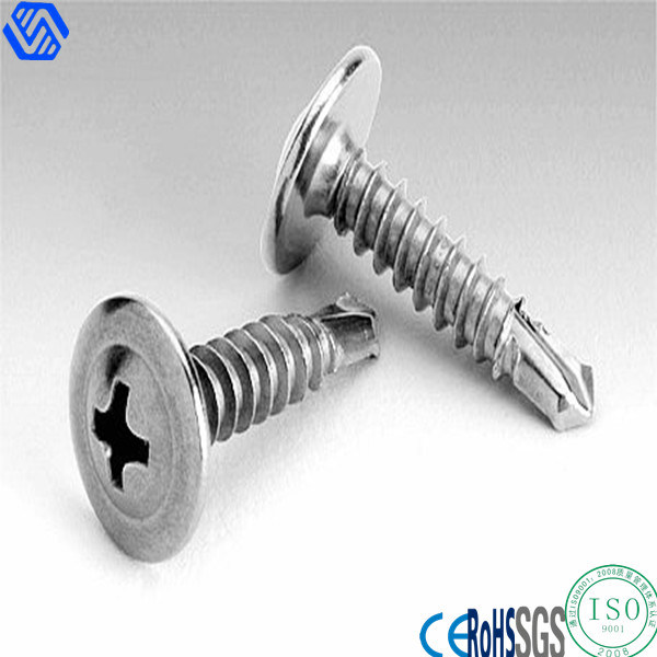 Stainless Steel Cup Head Phillips Head Screws