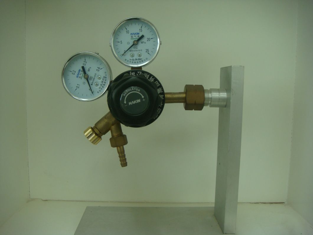 Hydrogen Air Regulator Pressure Reducer with Common Type