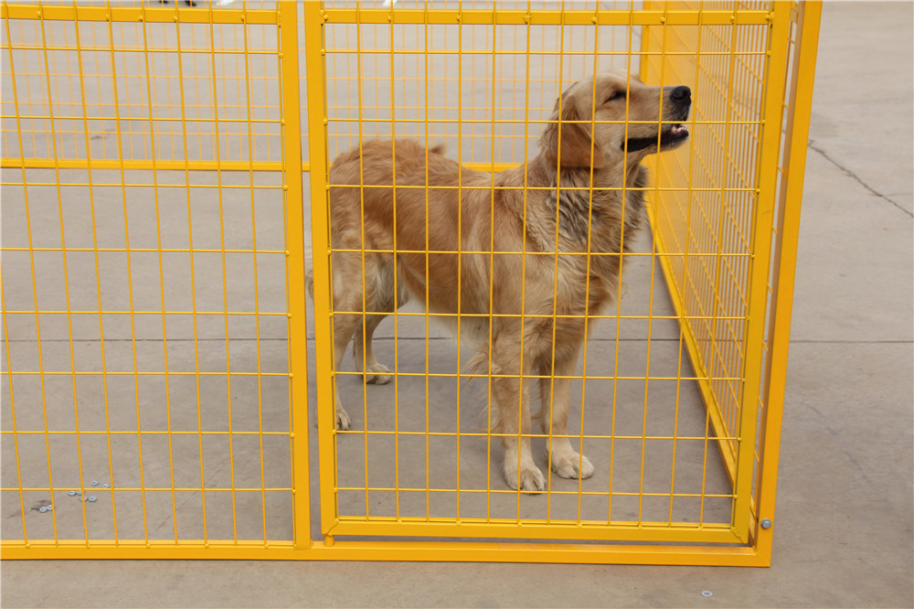 Top Quality Large Dog Kennel or Dog Cage for Sale (XMS138)