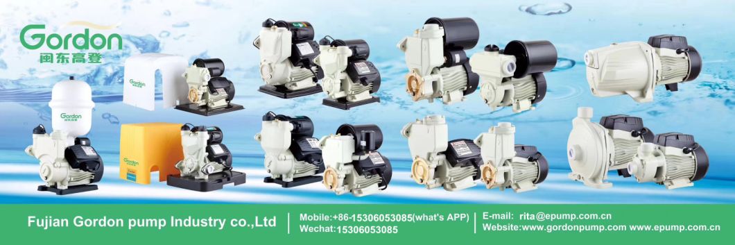 Wzb 100% Copper Surface Self Priming Vortex Gardon Water Pump