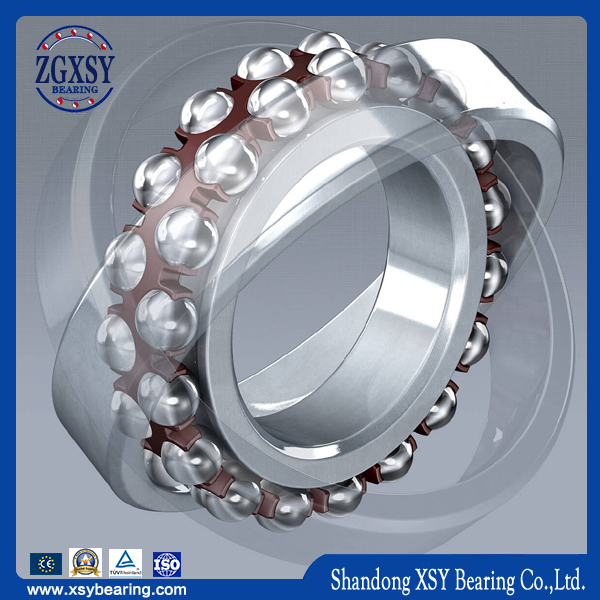 1312/1312k Ceramic Bearings Self-Aligning Ball Bearing