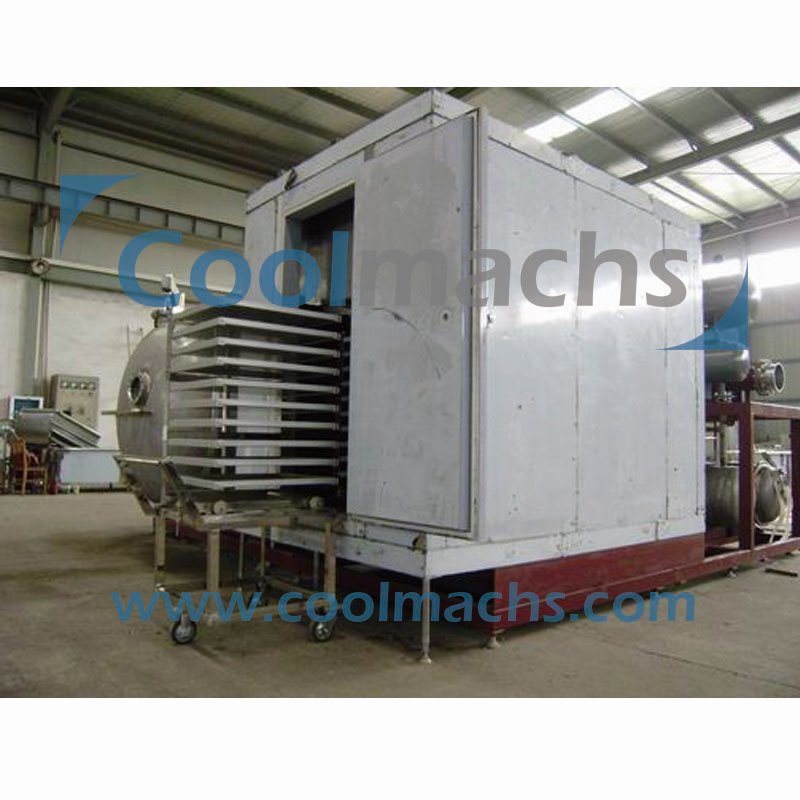 Vacuum Lyophilizer/Vacuum Freeze Dryer for Vegetable and Fruit