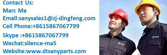 Best Quality Cylinder for Sany Hydraulic Excavator Sy16-Sy465 Machine Spare Parts From China