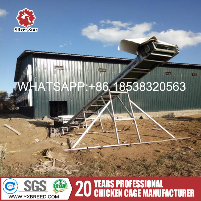 Chicken Breeding Equipment for Hot Sale to Chicken Farm