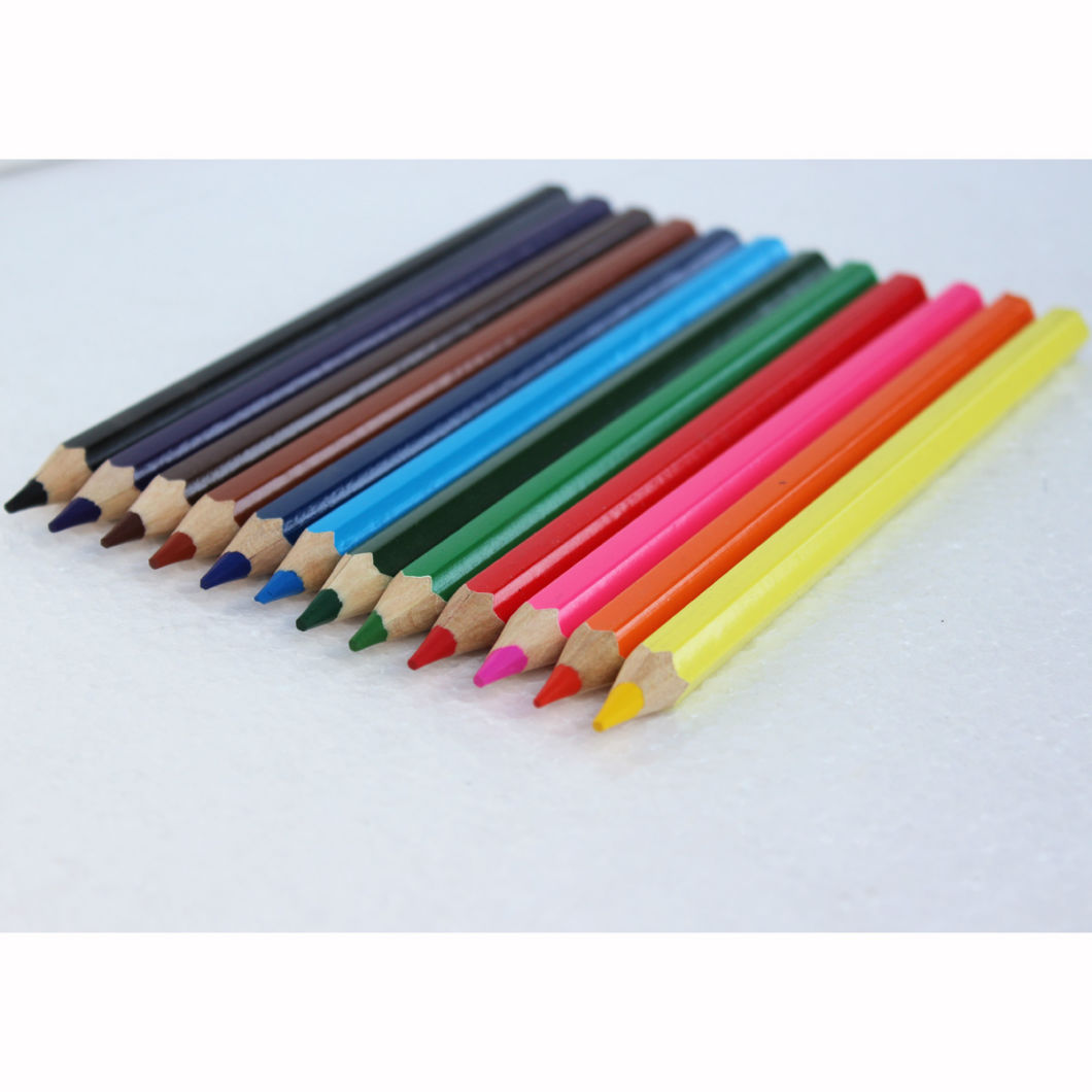 Jumbo Size 12 Color Pencils Stationery, Jumbo Pencils