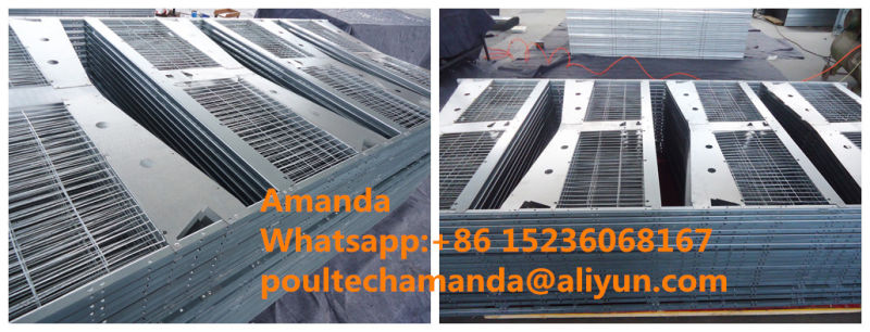 Automatic Good Price & Quality H Frame Type Layer Cage Equipment