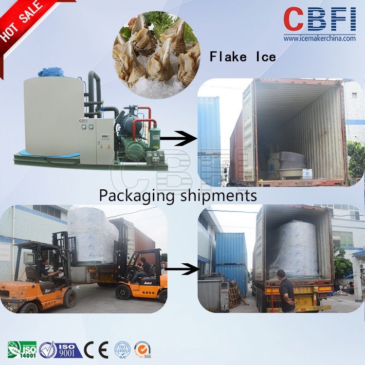 Stainless Steel 2 Tons Ice Flake Machine for Commercial
