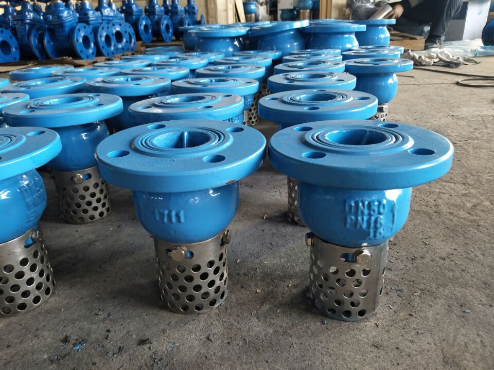 China Flanged Type Foot Valve