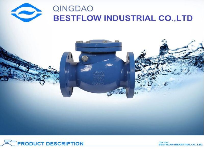 Cast Iron Water Check Valve