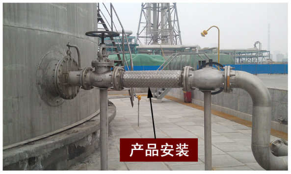 Stainless Steel Flexible Metal Hose with BSPP Female Rotary Coupling