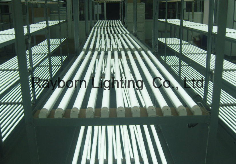 China Supplier High Quality T8 LED Tube Light (RB-T8-1200-A)