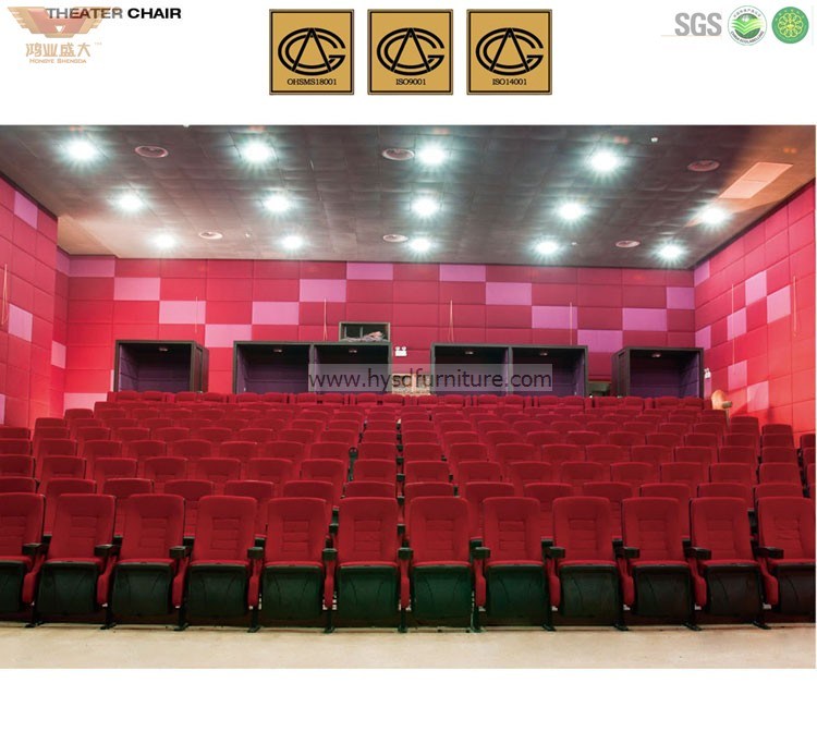 Modern Furniture Conference Hall Chair (HY-9009)