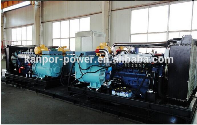 Good Quality Standby Output 160kw Natural Gas Silent Generator