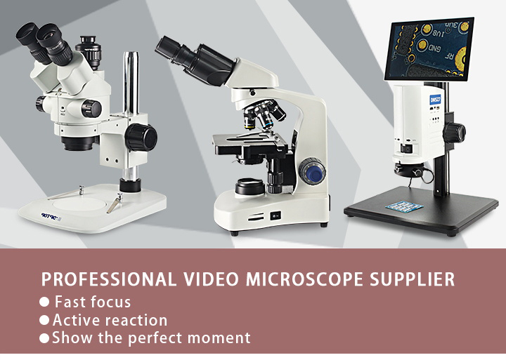 Binoculars Digital Lab Stereo Video Microscope