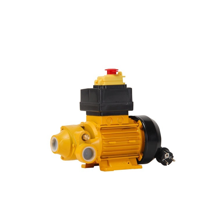 AC110V/220V Adblue Def Pump for IBC System