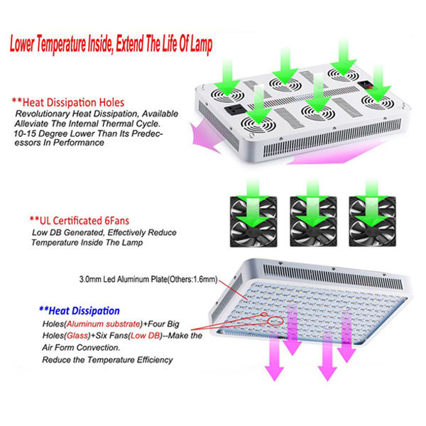 Hot Selling Double Chip 60 PCS LEDs Full Spectrum Plant Grow Lighting 300W LED Grow Light