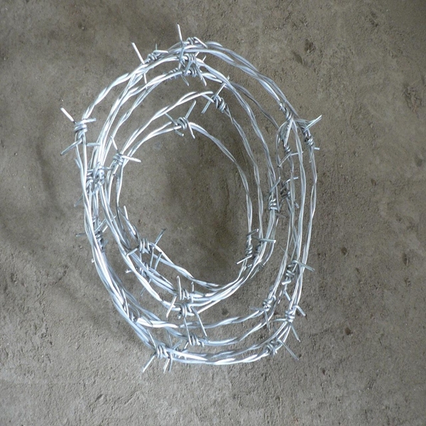 Galvanized / PVC Coated Barbed Wire