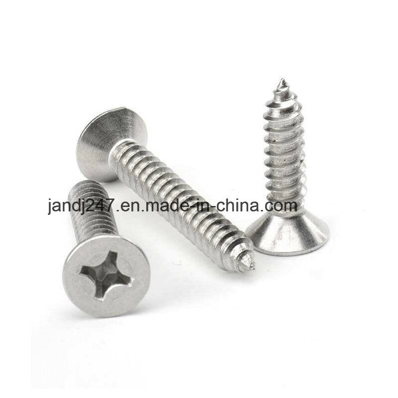 High Quality Stainless Steel 304 316 Self Tapping Screw Csk Head in Guangzhou