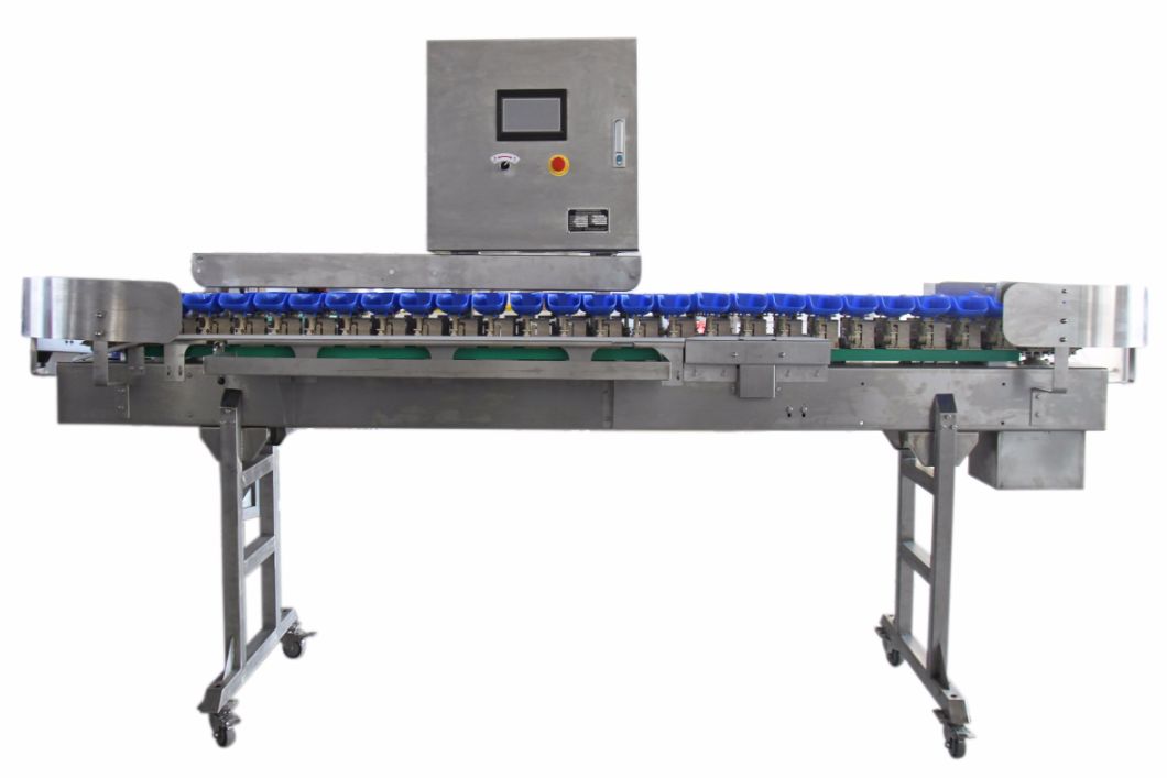Automatic Sorting Machine for Chicken Paws