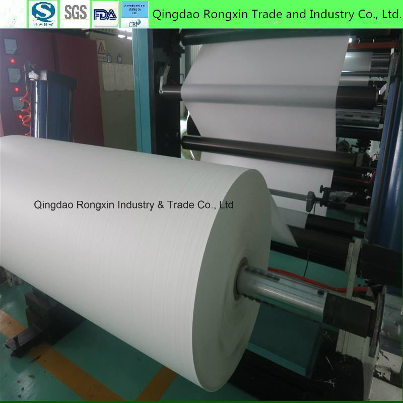 Double Side PE Coated Paper in Sheet Food Grade