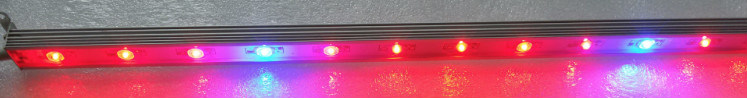36W LED Light Bar for Hydroponic Growth