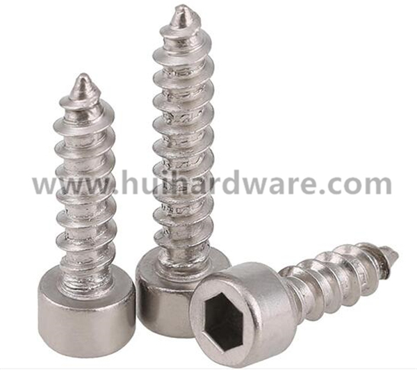 SUS 304 Stainless Steel Socket Cap Head Self Tapping Screw