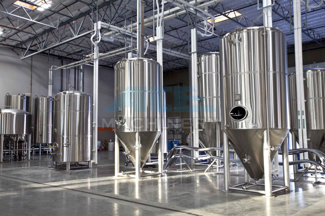 Best Technical Support Beer Brewing System